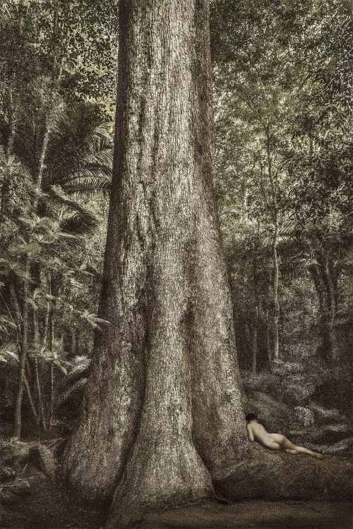 Cassio Vasconcellos Fine Art Photography Dryads 14