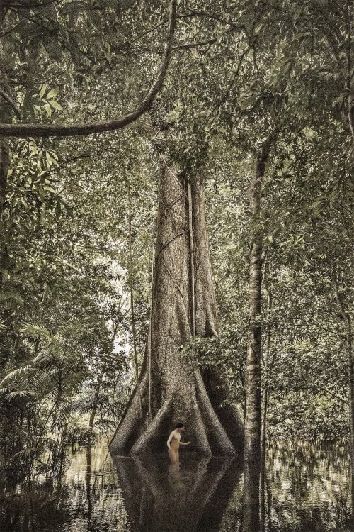 Cassio Vasconcellos Fine Art Photography Dryads 17