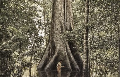 Cassio Vasconcellos Fine Art Photography Dryads 17